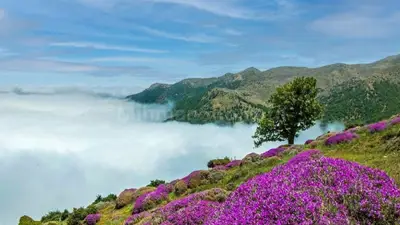 سالن مطالعه سوگل در شاهرود - محیط مطالعه مناسب دخترانه